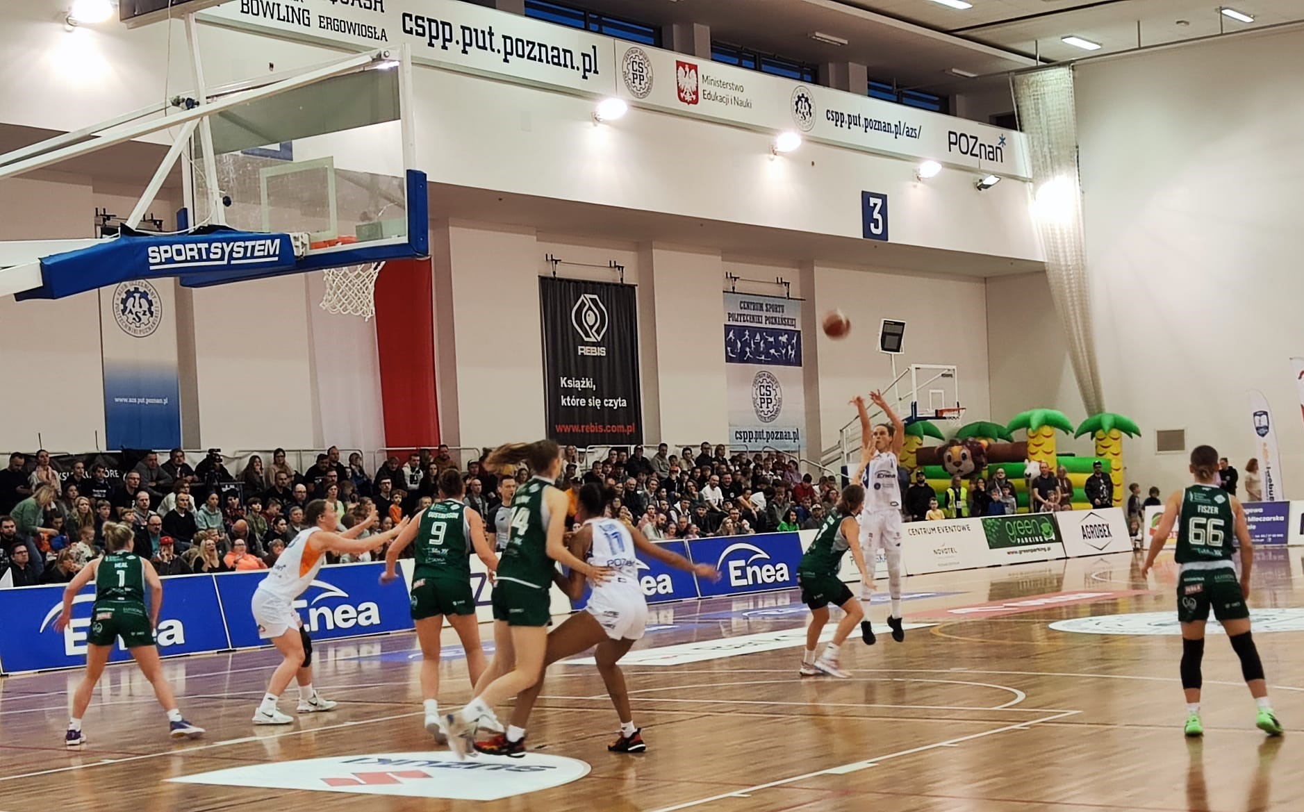 Enea AZS Politechnika Poznań - Dawid Cytrowski