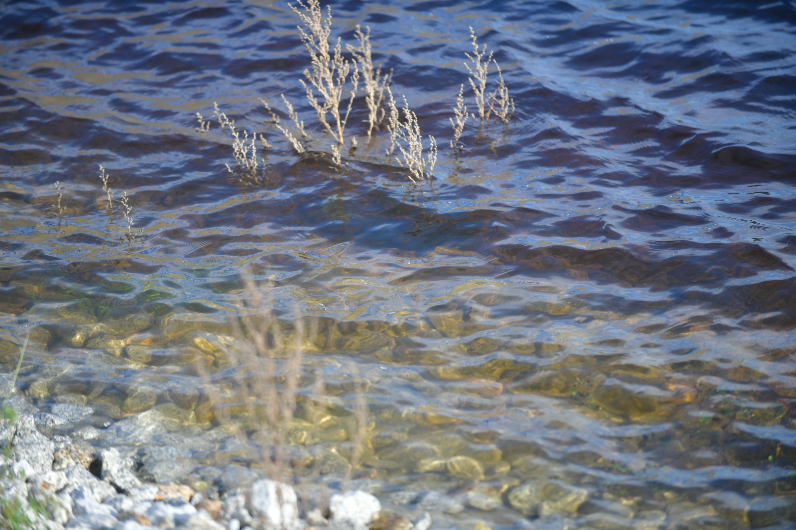 zbiornik retencyjny jezioro tulce - Wojtek Wardejn - Radio Poznań