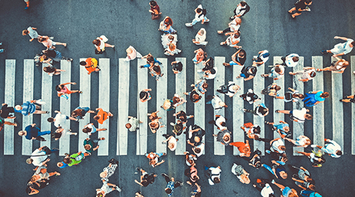 AdobeStock_295160073