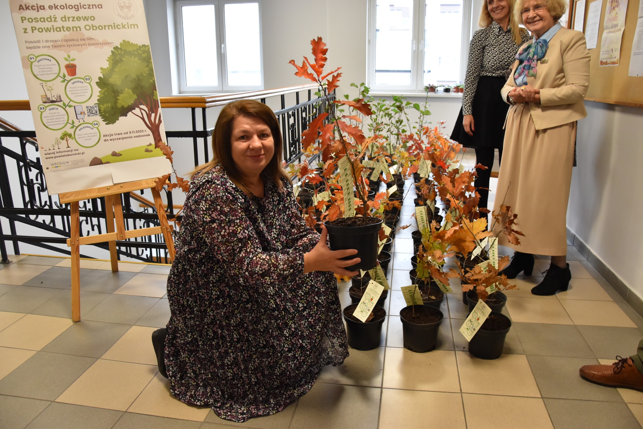 Posadź drzewo z powiatem obornickim - Powiat Obornicki