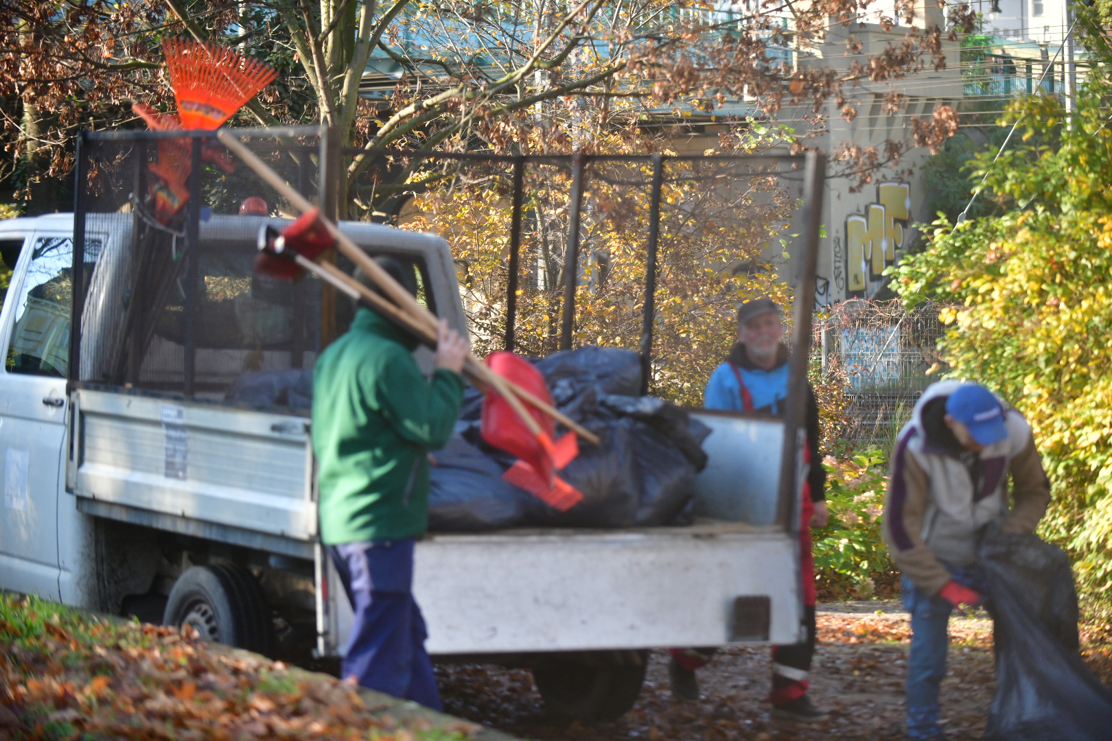 liście grabienie liści - Wojtek Wardejn - Radio Poznań