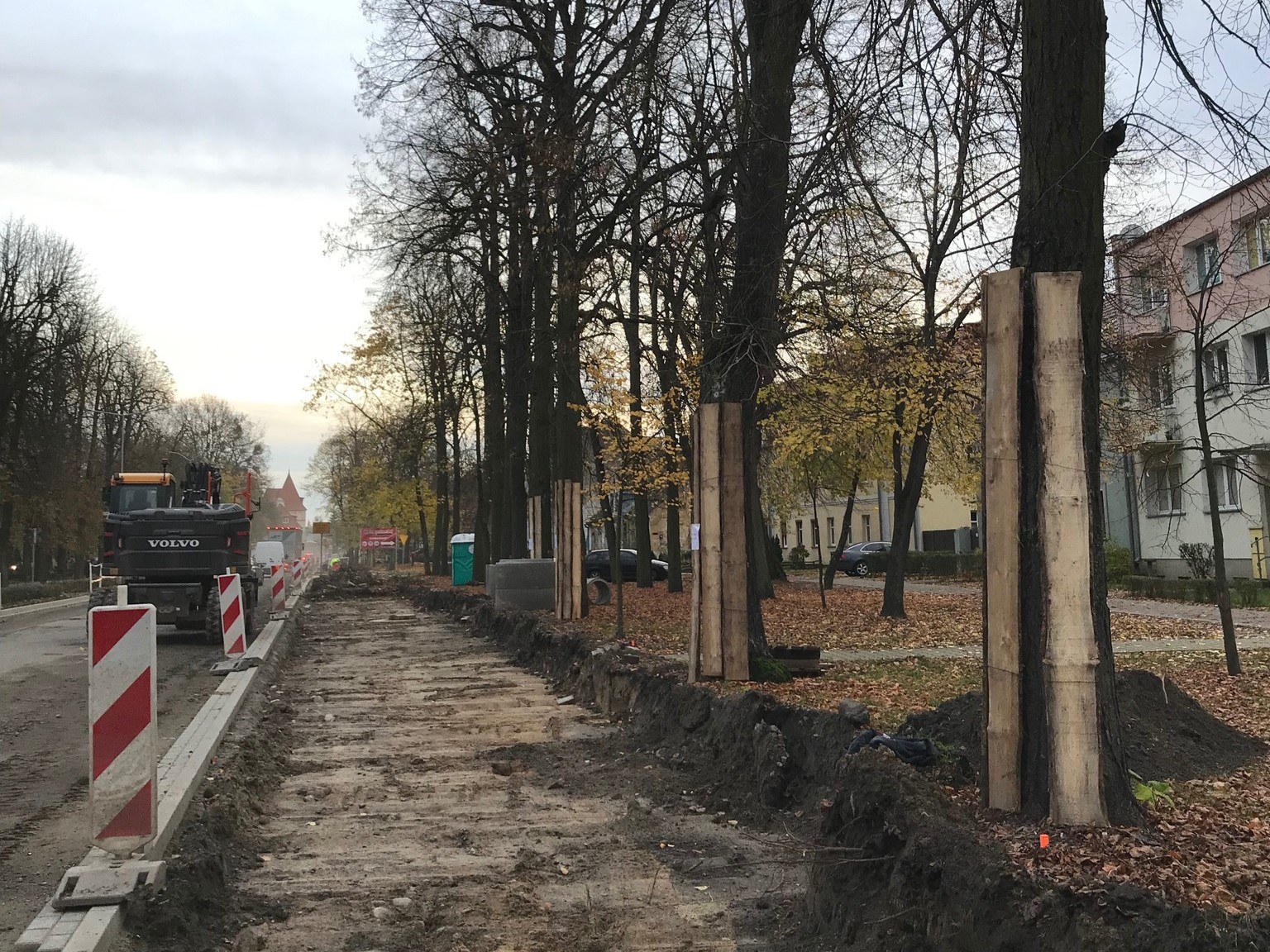 lipy międzychód - ZIELONY MIĘDZYCHÓD