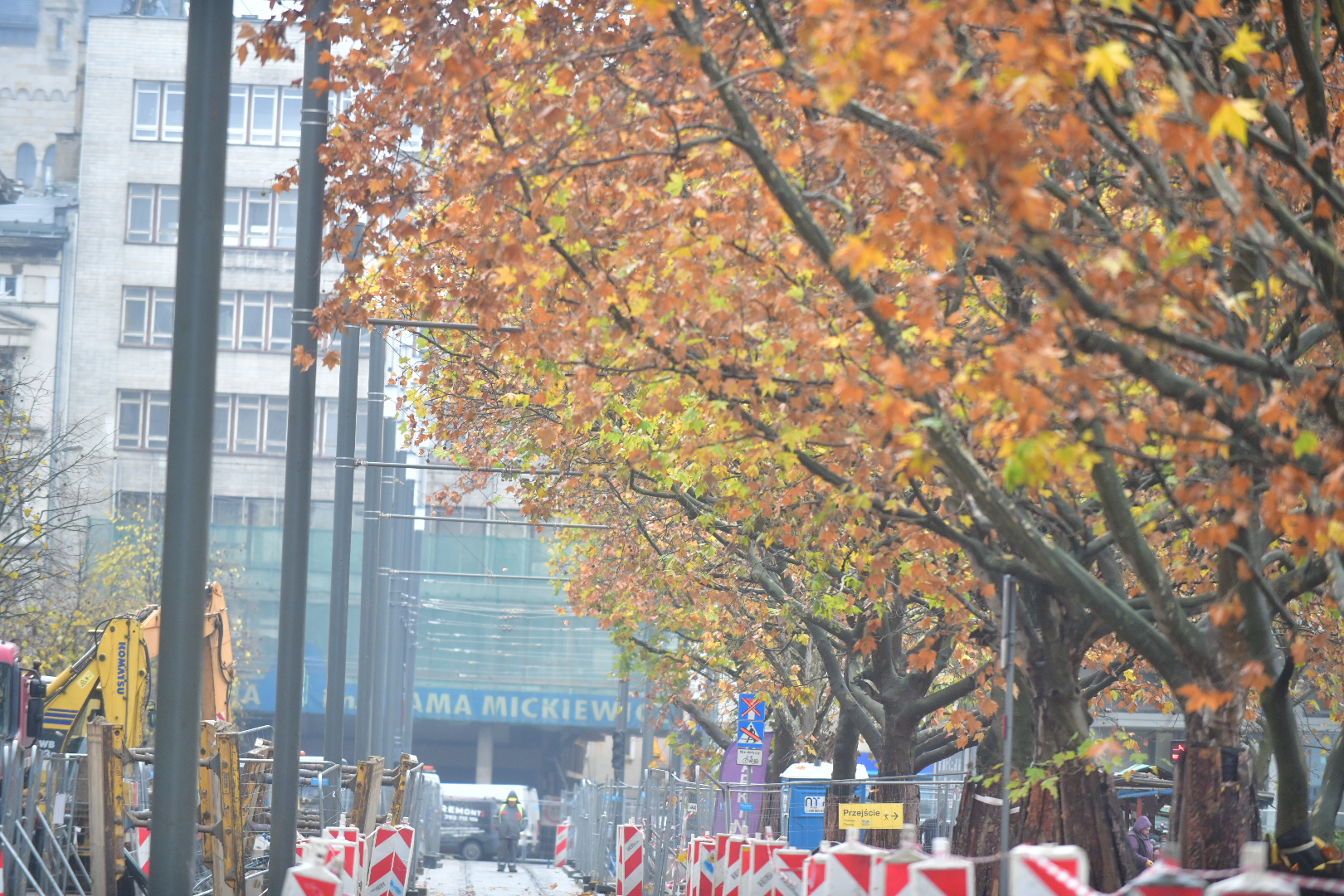 27 Grudnia platany poznań - Wojtek Wardejn - Radio Poznań