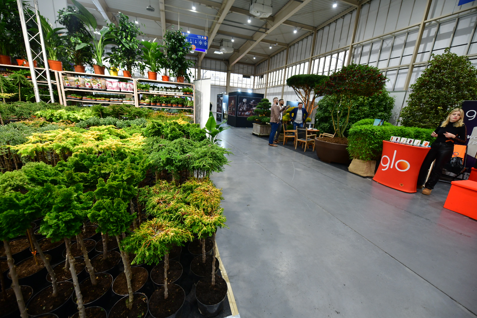 gardenia - Wojtek Wardejn - Radio Poznań