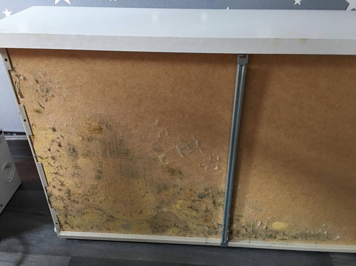 Właściciel mieszkania