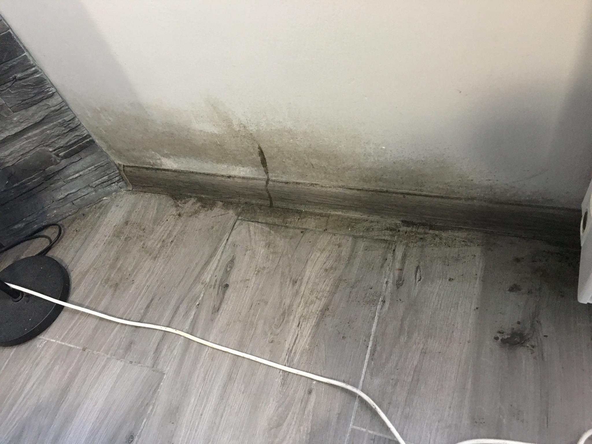 Właściciel mieszkania