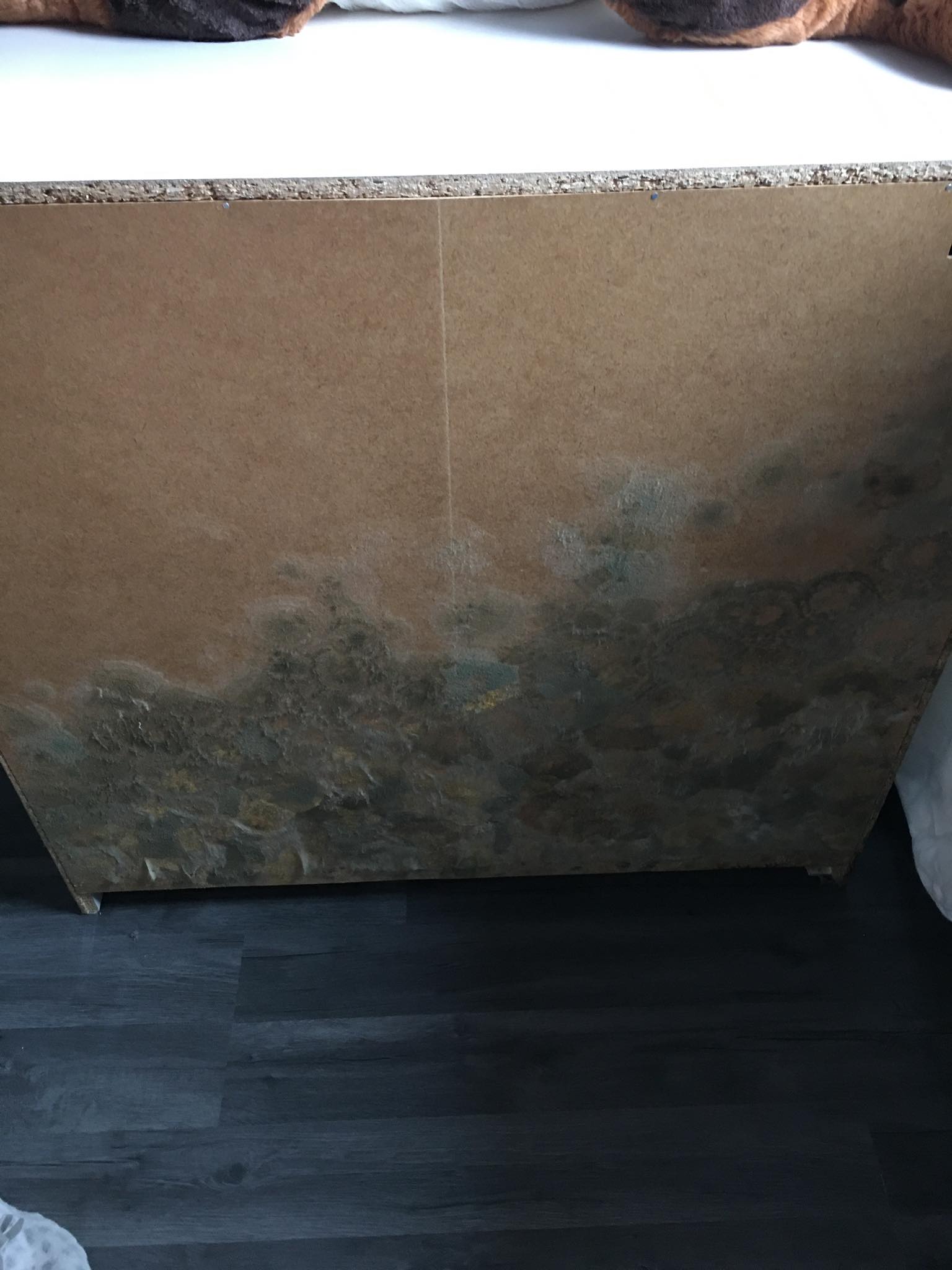 Właściciel mieszkania