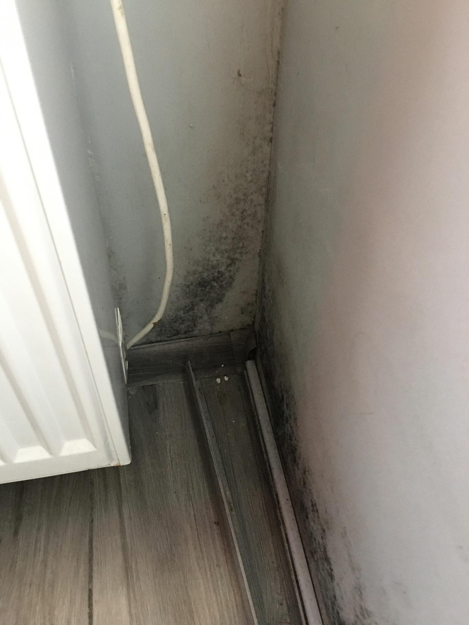 Właściciel mieszkania