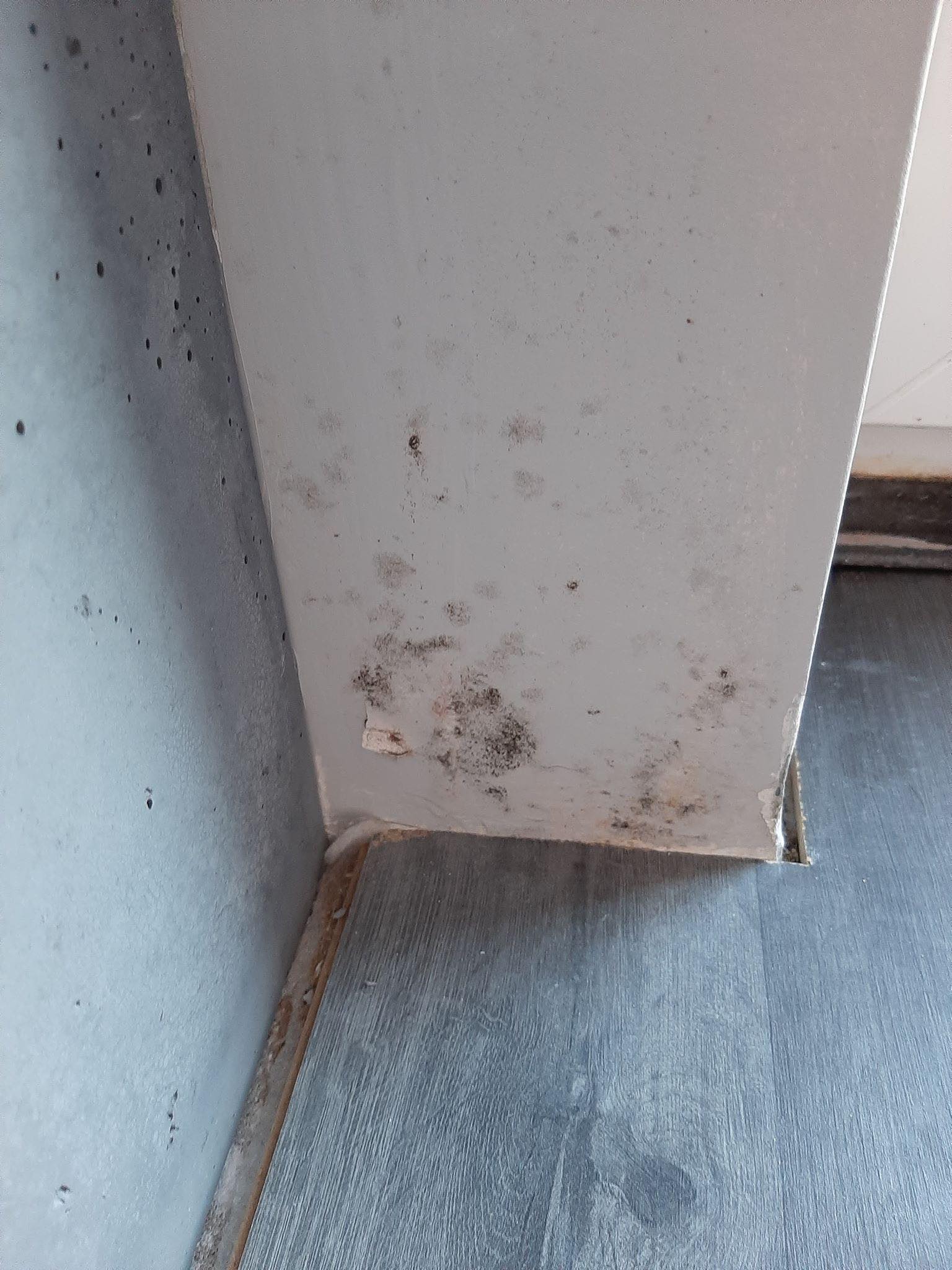 Właściciel mieszkania