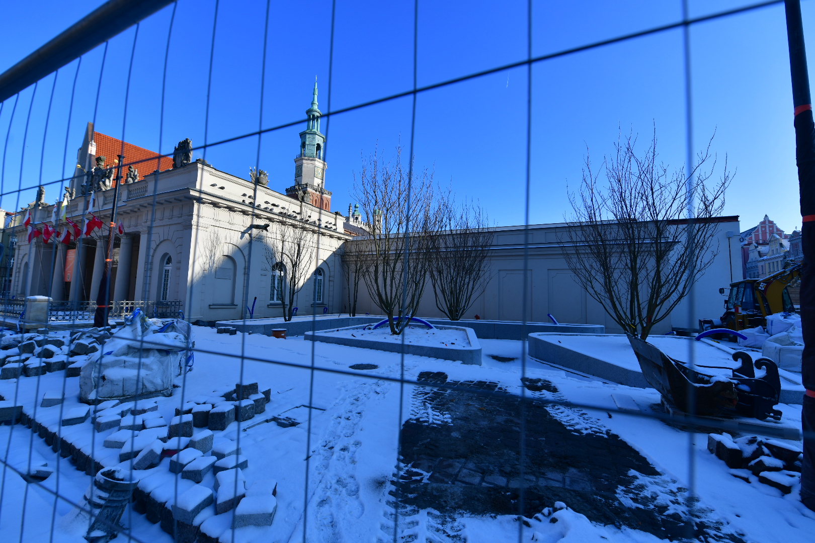 stary rynek poznań drzewa - Wojtek Wardejn - Radio Poznań