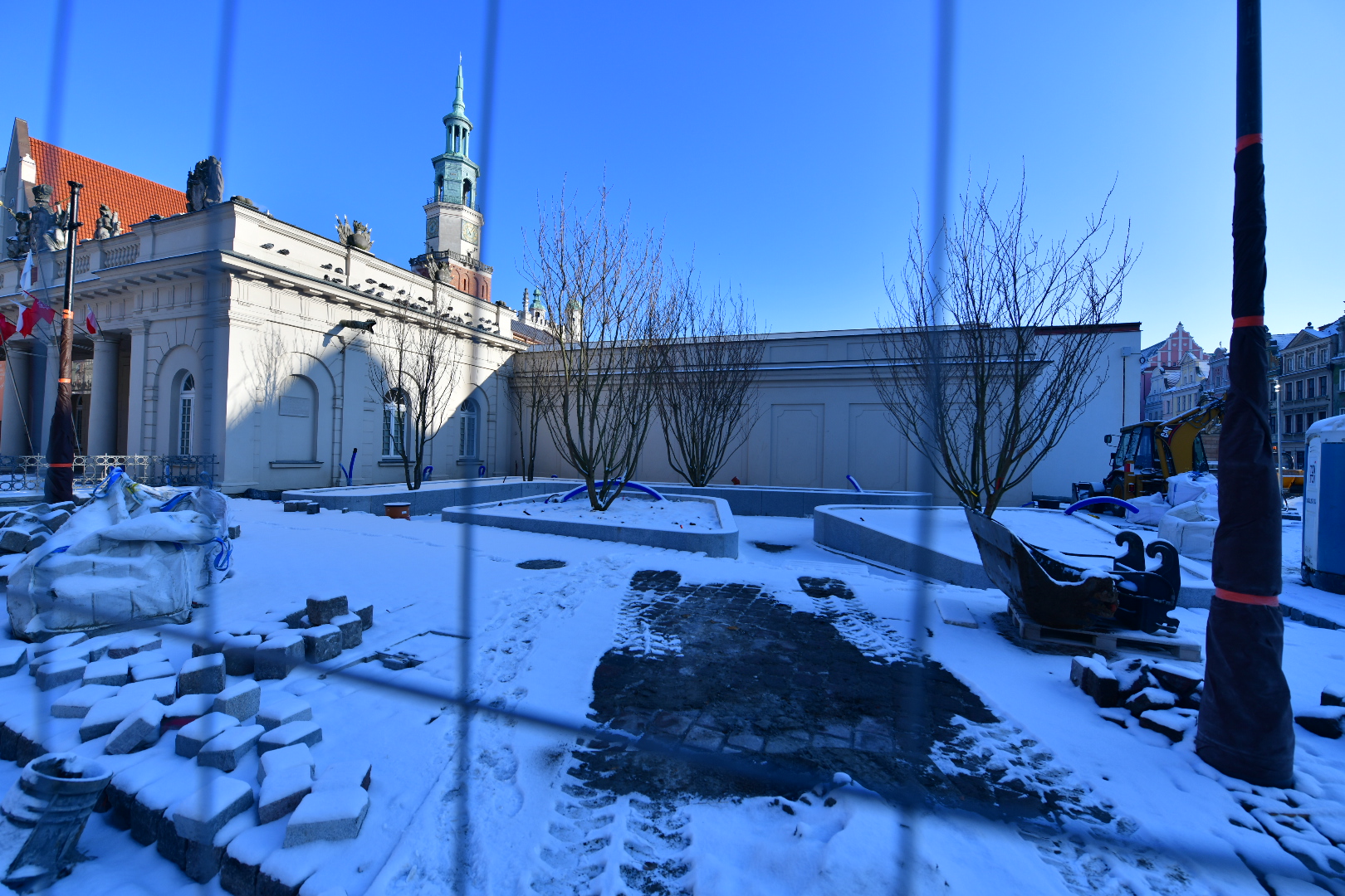 drzewa wiśnie stary rynek poznań rynek drzewa - Wojtek Wardejn - Radio Poznań