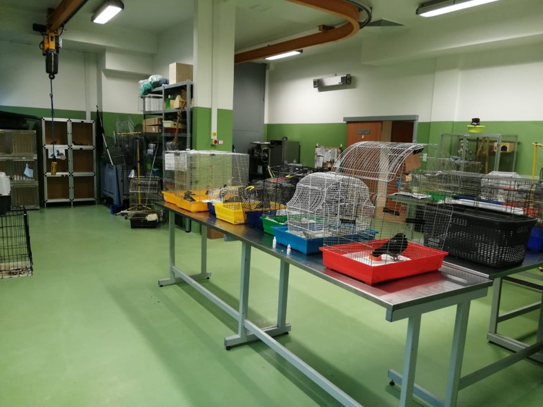 Sara Szynkowska vel Sęk