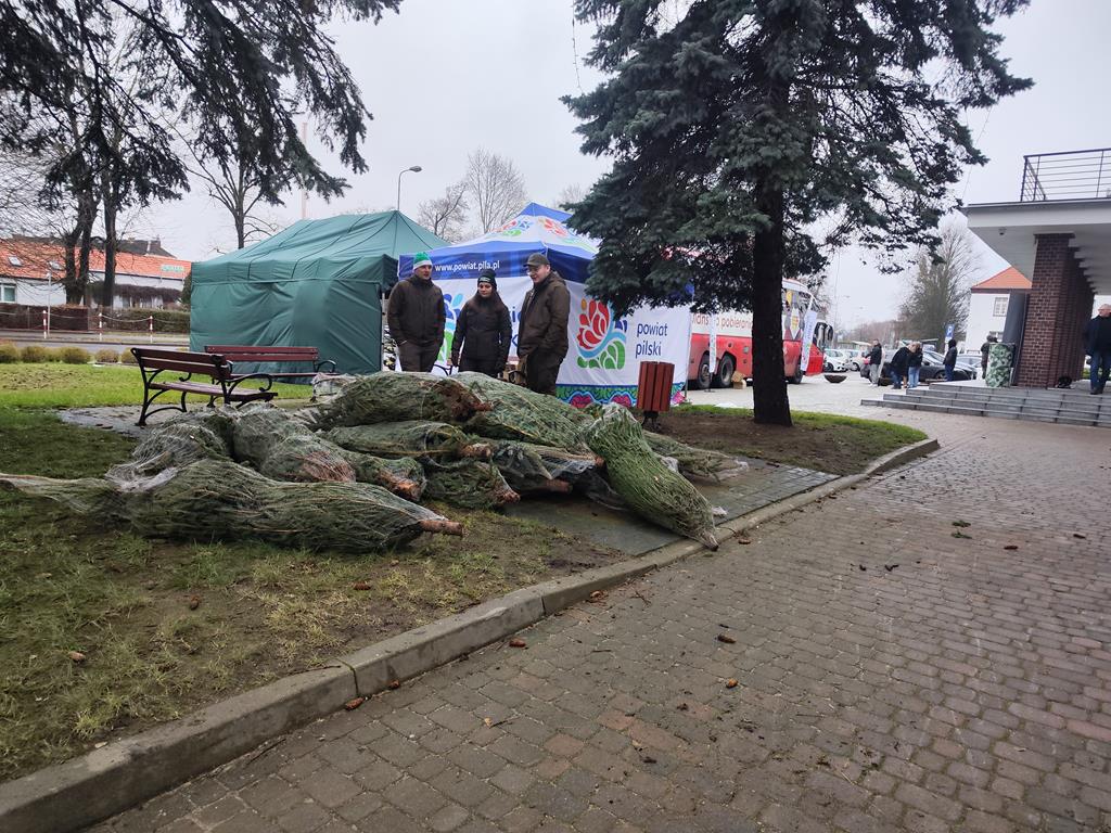 Choinka dla życia piła - Przemysław Stochaj - Radio Poznań