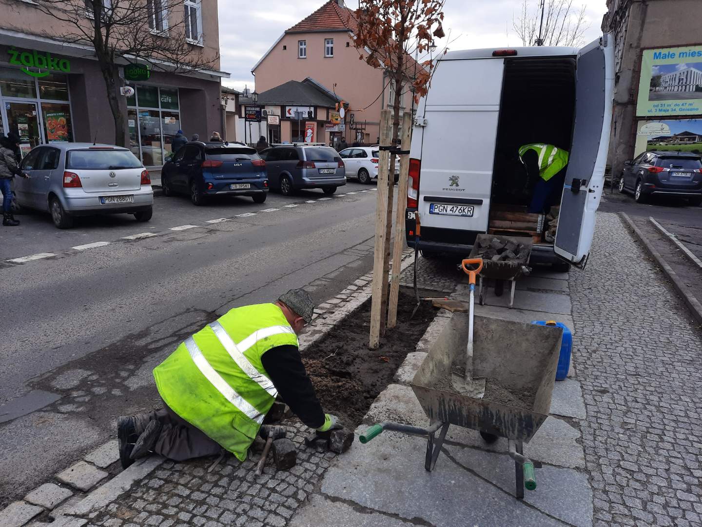 antybetonoza gniezno sadzenie drzew gniezno - Rafał Muniak - Radio Poznań