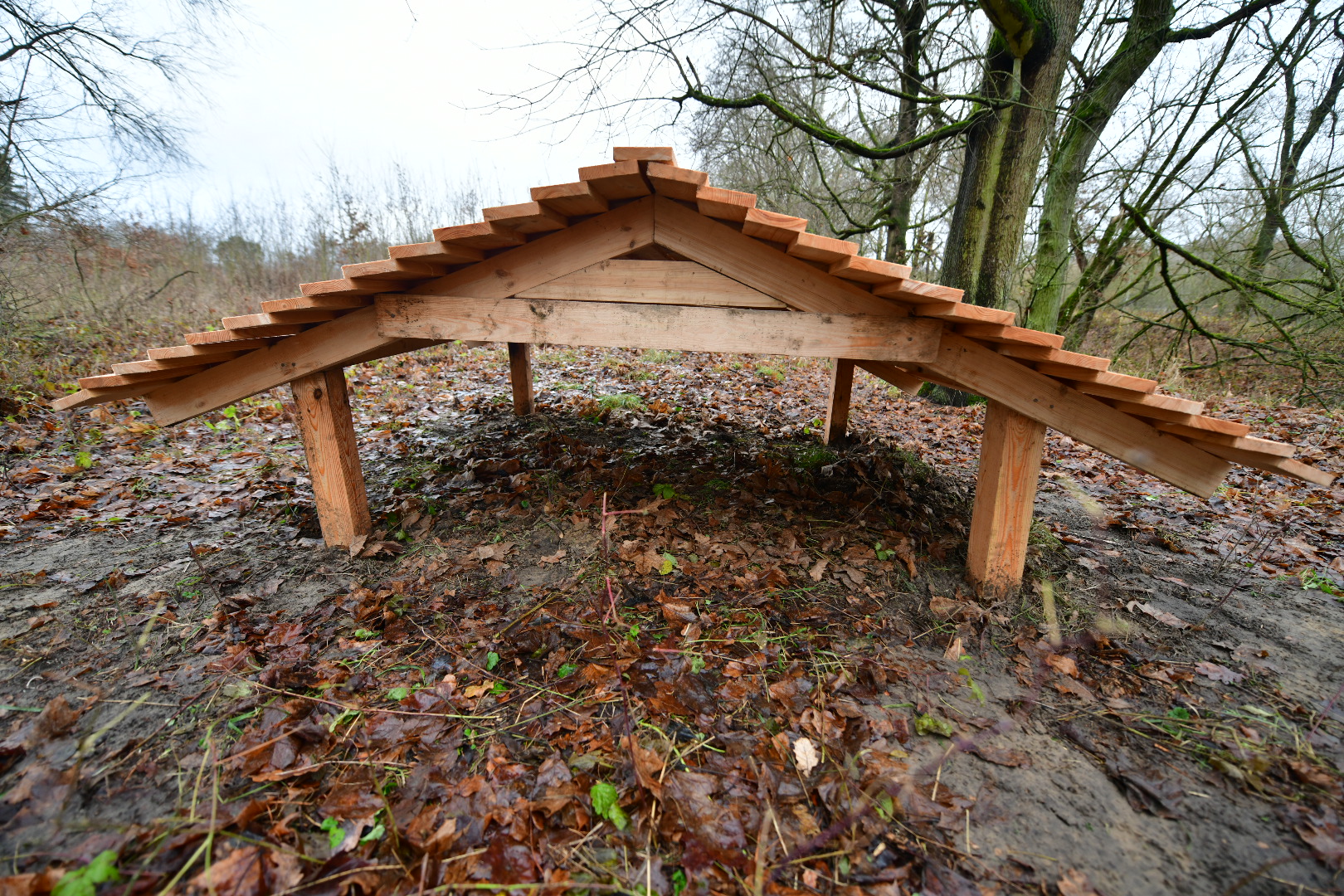 barłóg dla dzików - Wojtek Wardejn - Radio Poznań