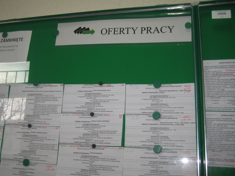 Oferty pracy - urząd pracy - Anna Skoczek