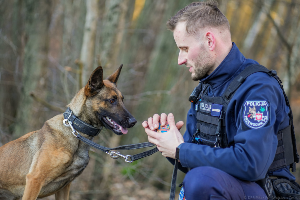 Policyjny pies w Pile - KPP Piła