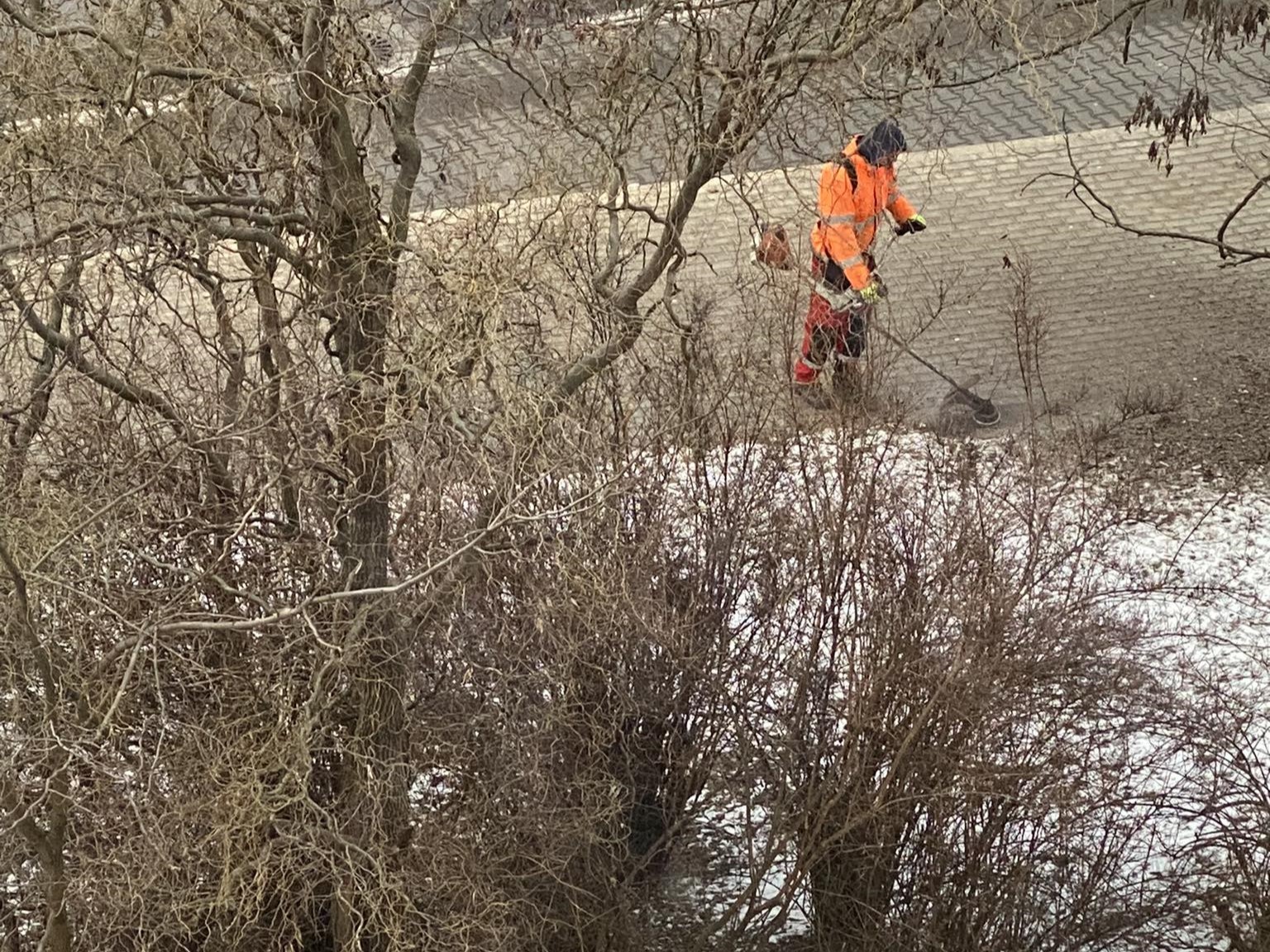 koszenie zimą zdm - Pola - MotoSygnały