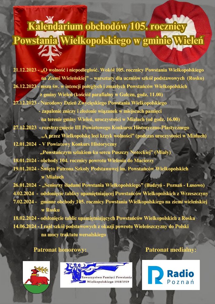 Obchody 105 rocznicy bitwy o Wrzeszczynę - Organizator