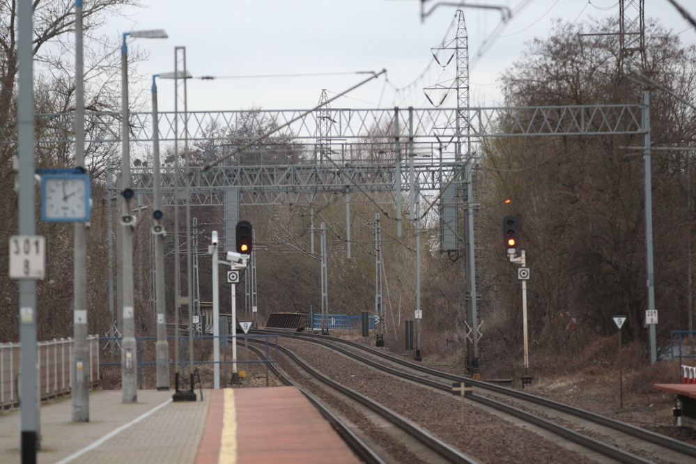 drzewa przy torach poznań - Leon Bielewicz  - Radio Poznań