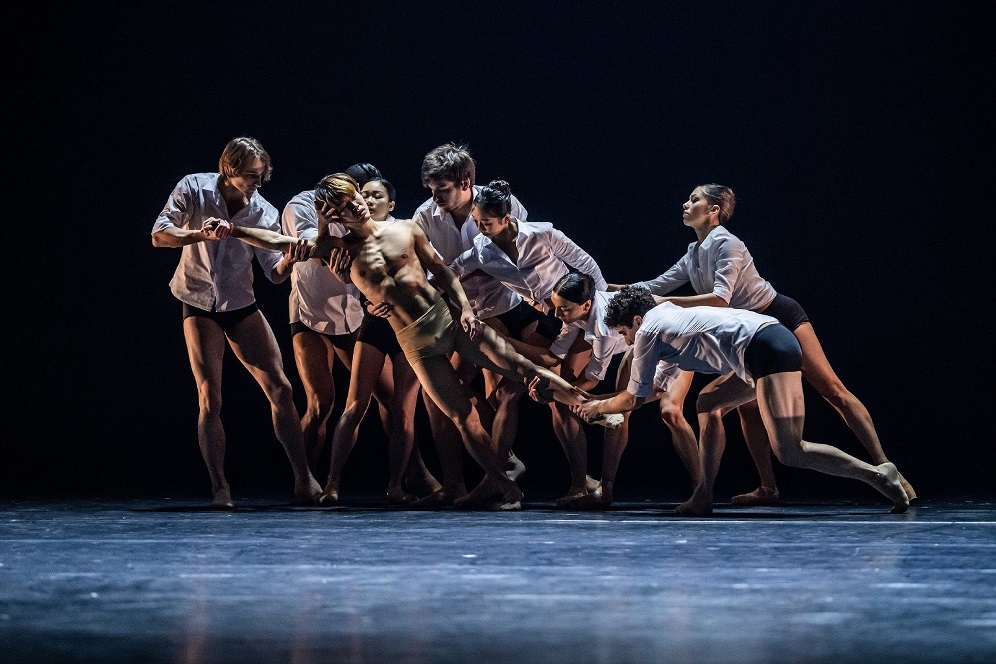 Przedwiośnie Baletowe w Poznaniu 2024 - Organizator