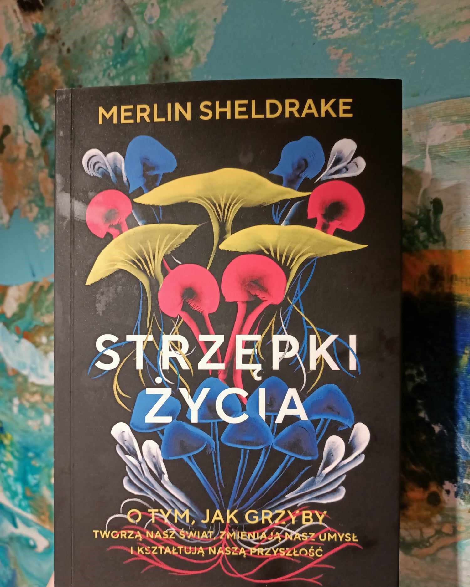 bed2c3ec-5fdf-4237-8db4-7387864618c0 - Joanna Divina