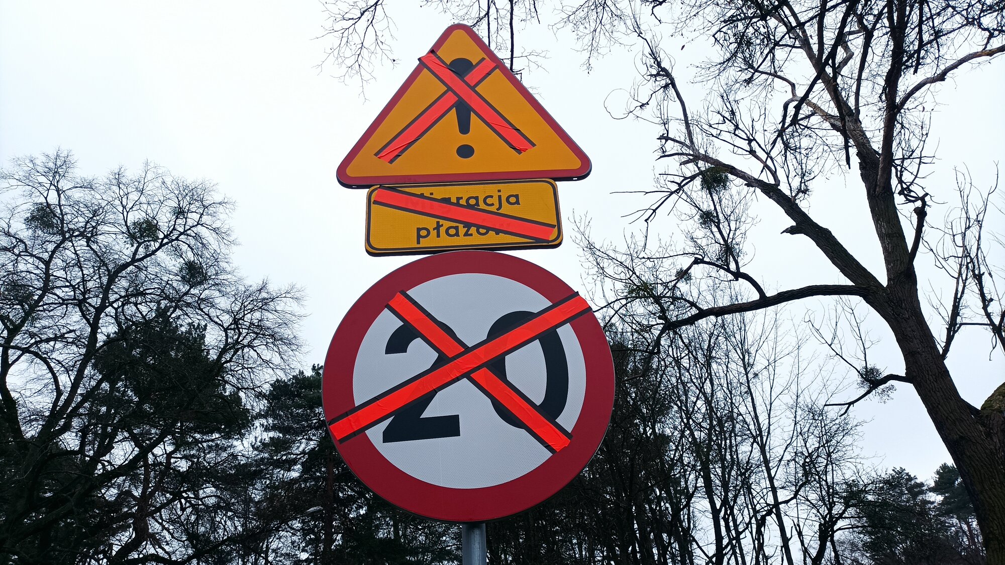 Ropuchy i zamknięte ulice - Leon Bielewicz