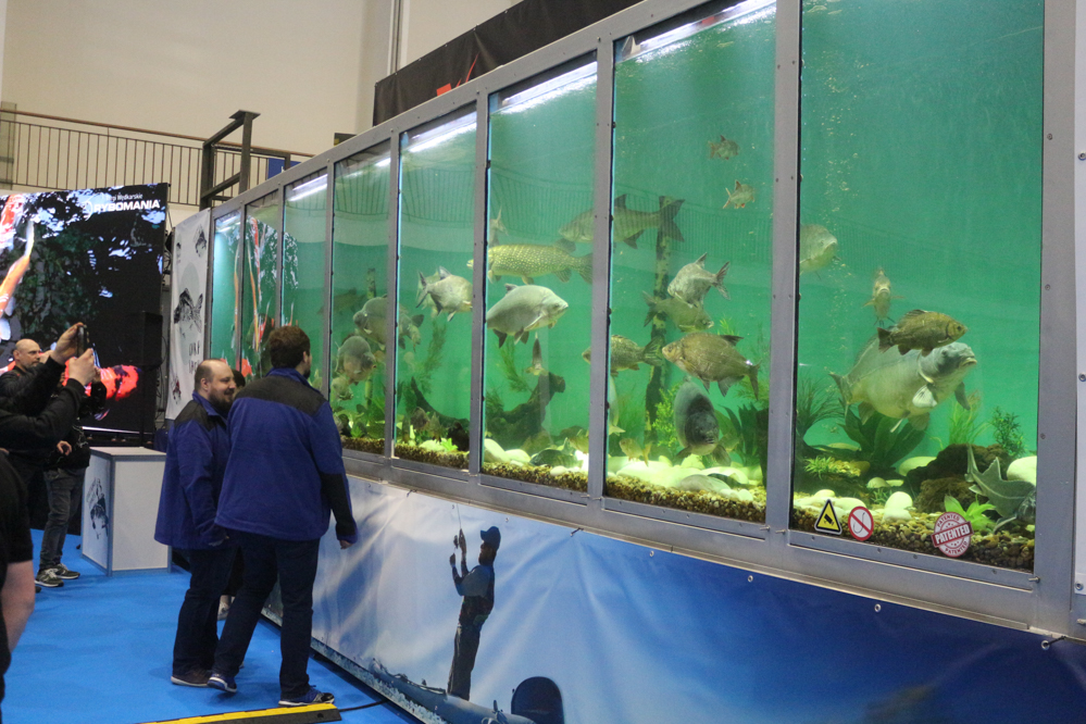 rybomania targi  - Leon Bielewicz  - Radio Poznań