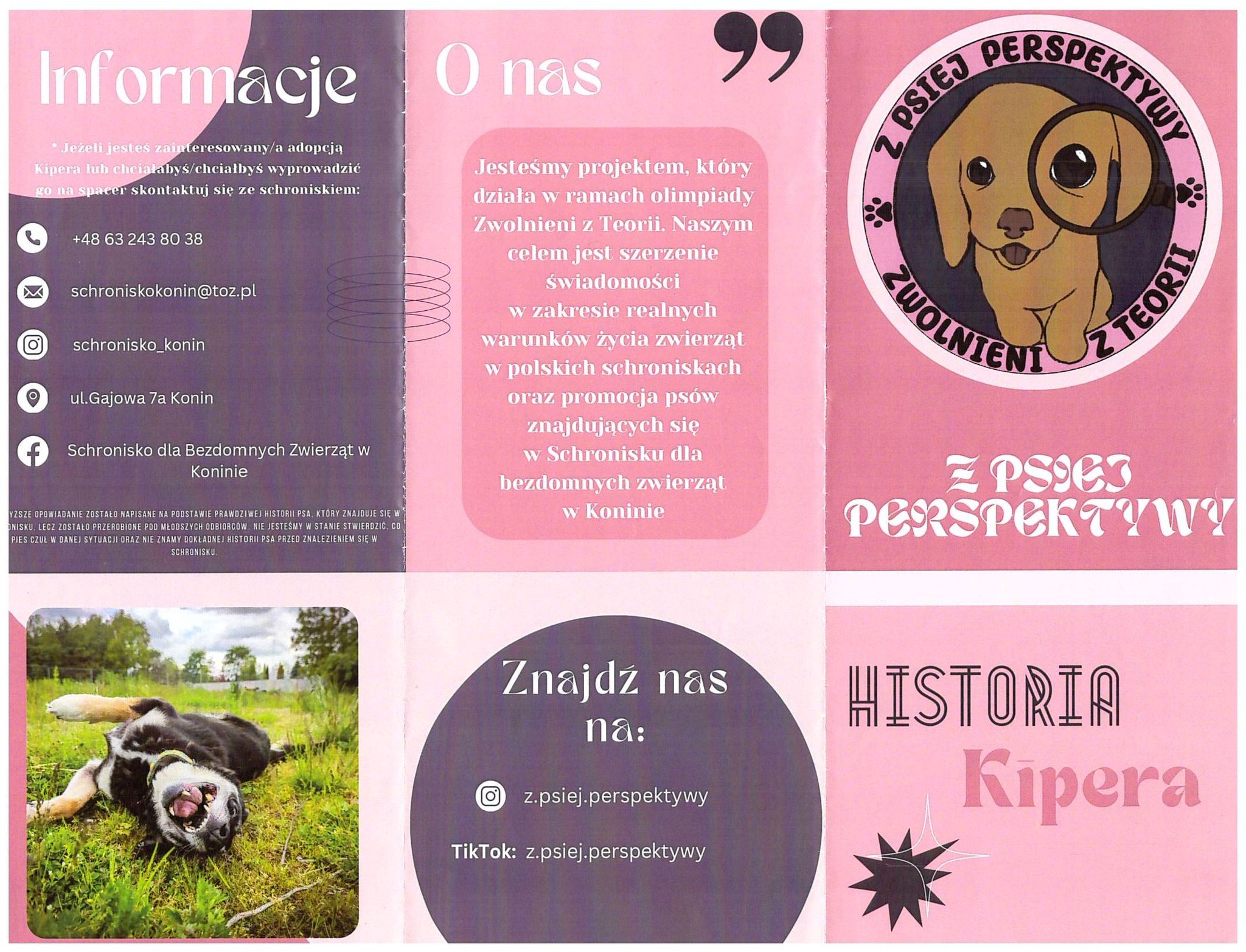 Z psiej perspektywy - Z psiej perspektywy