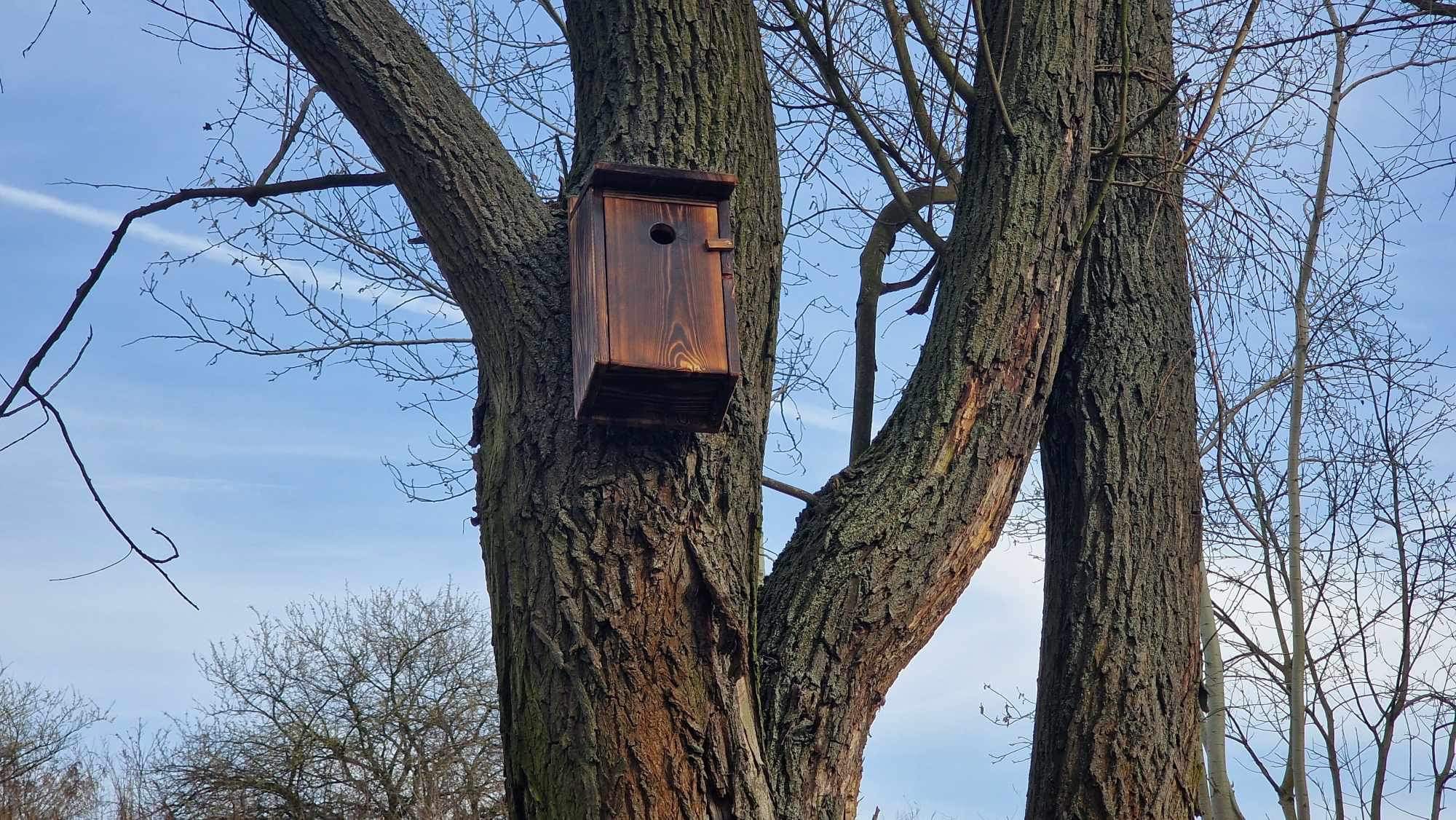 budki lęgowe kalisz - Danuta Synkiewicz  - Radio Poznań