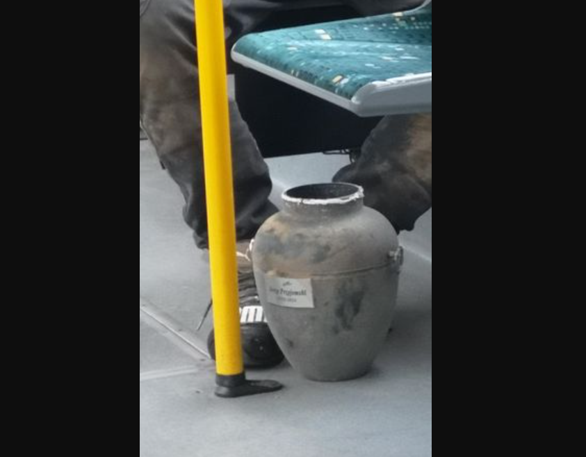 urna w tramwaju - ig:poznan_moment