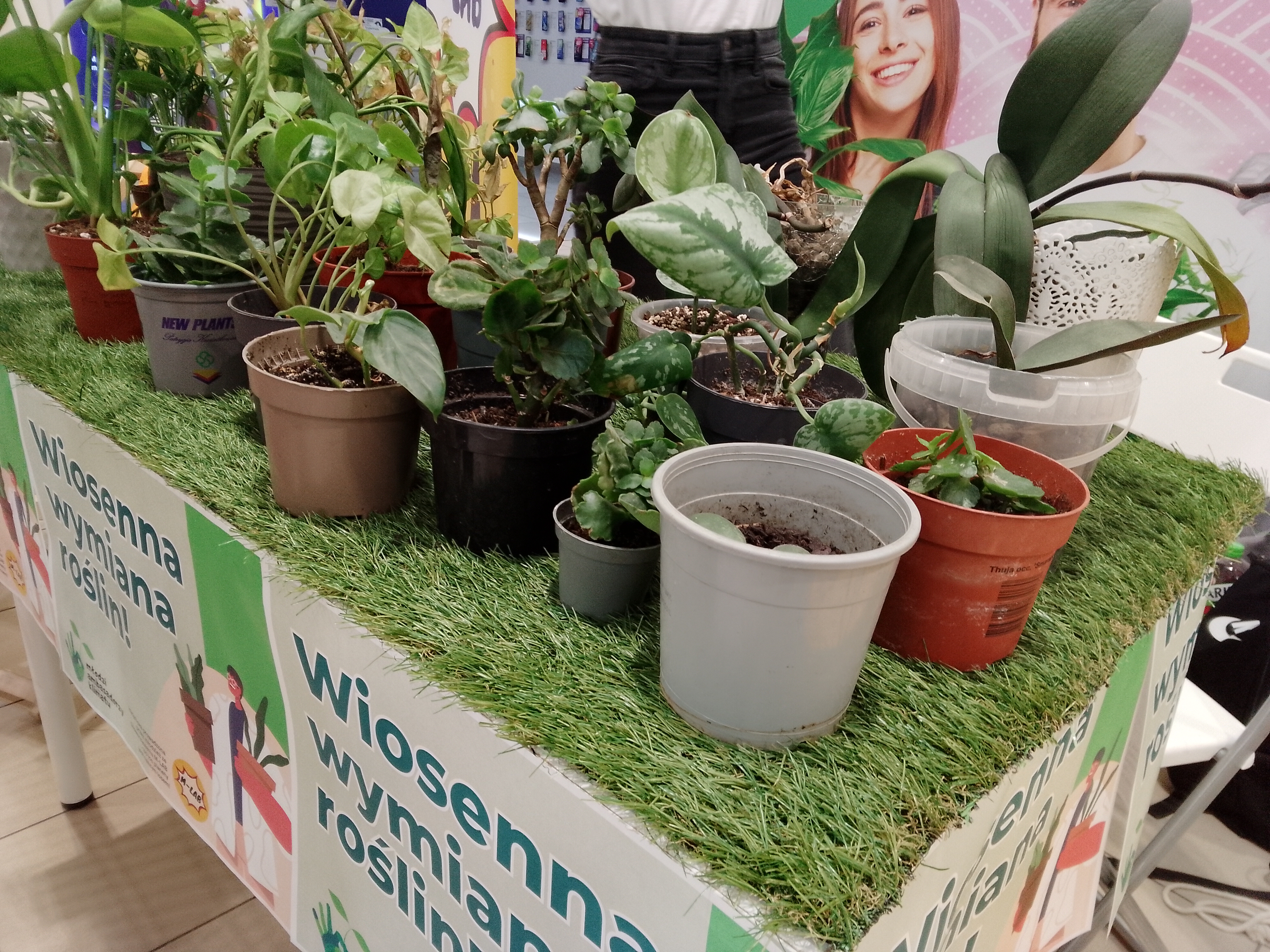 wymiana roślin konin - Michalina Maciaszek  - Radio Poznań