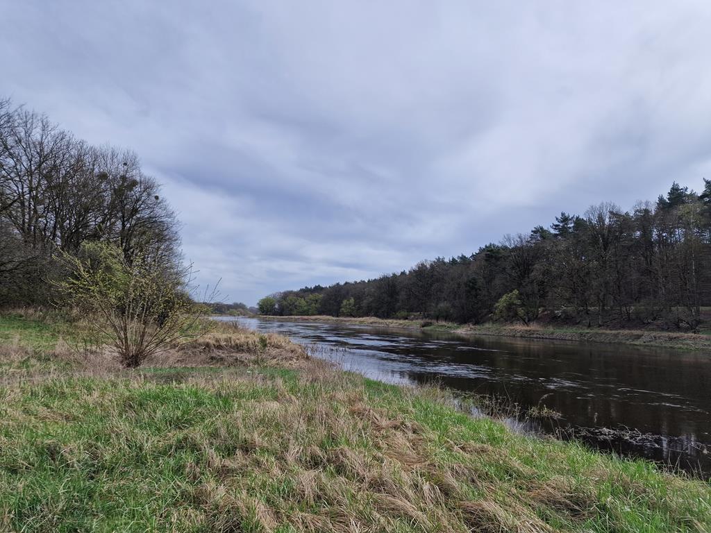 warta w łukowie łuków - Grzegorz Ługawiak - Radio Poznań