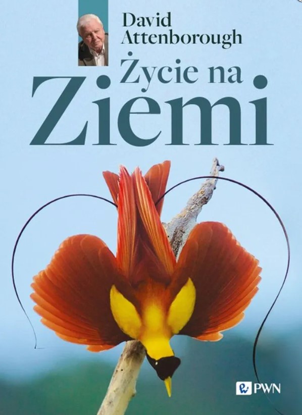 Życie na Ziemi  - Okładka książka