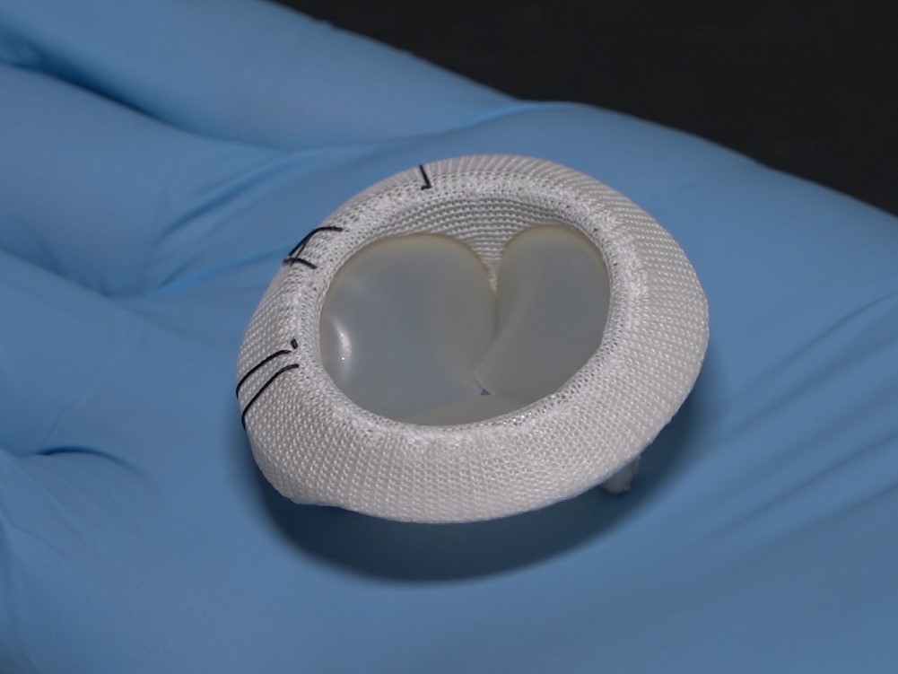 zastawka serce zastawka z osierdzia wołu -  Szpital Miejski im. Józefa Strusia 