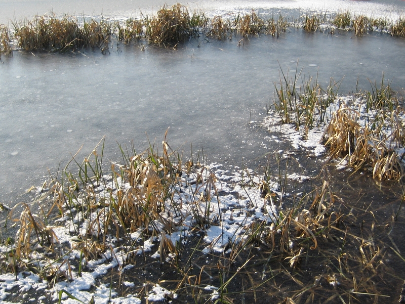Pokazy ratownictwa na lodzie - Jacek Butlewski