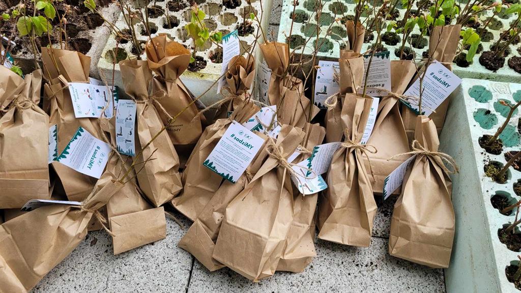 akcja sadzimy poznań - Krzysztof Polasik - Radio Poznań