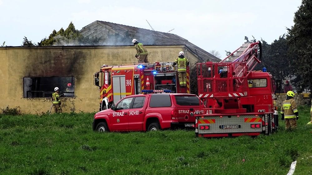 pozar kalisz - Danuta Synkiewicz