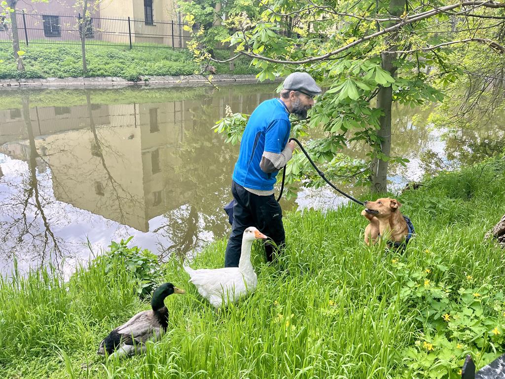Z pieskiem, gąską i kaczką podróżuje po całej Polsce pan dariusz - Danuta Synkiewicz  - Radio Poznań