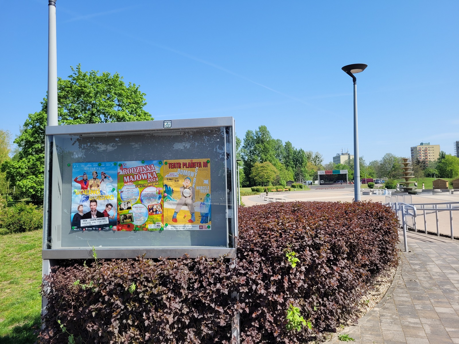 piła wyspa - Marek Wolski