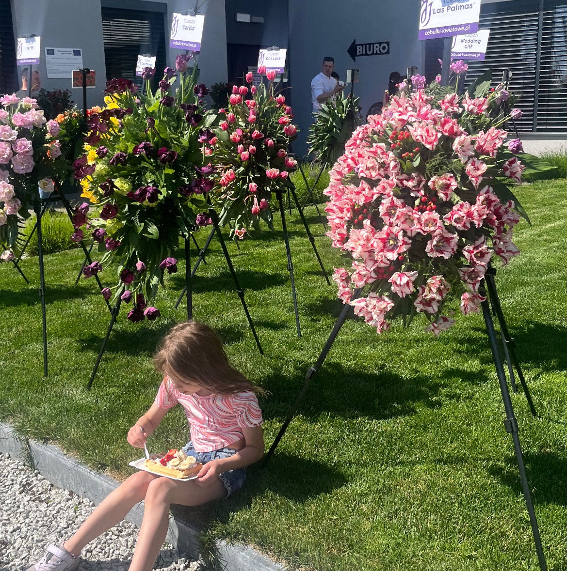 targi tulipanów - Magdalena Cecko