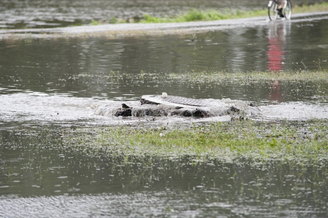 Skutki ulewy na Malcie w Poznaniu - Przemek Modliński