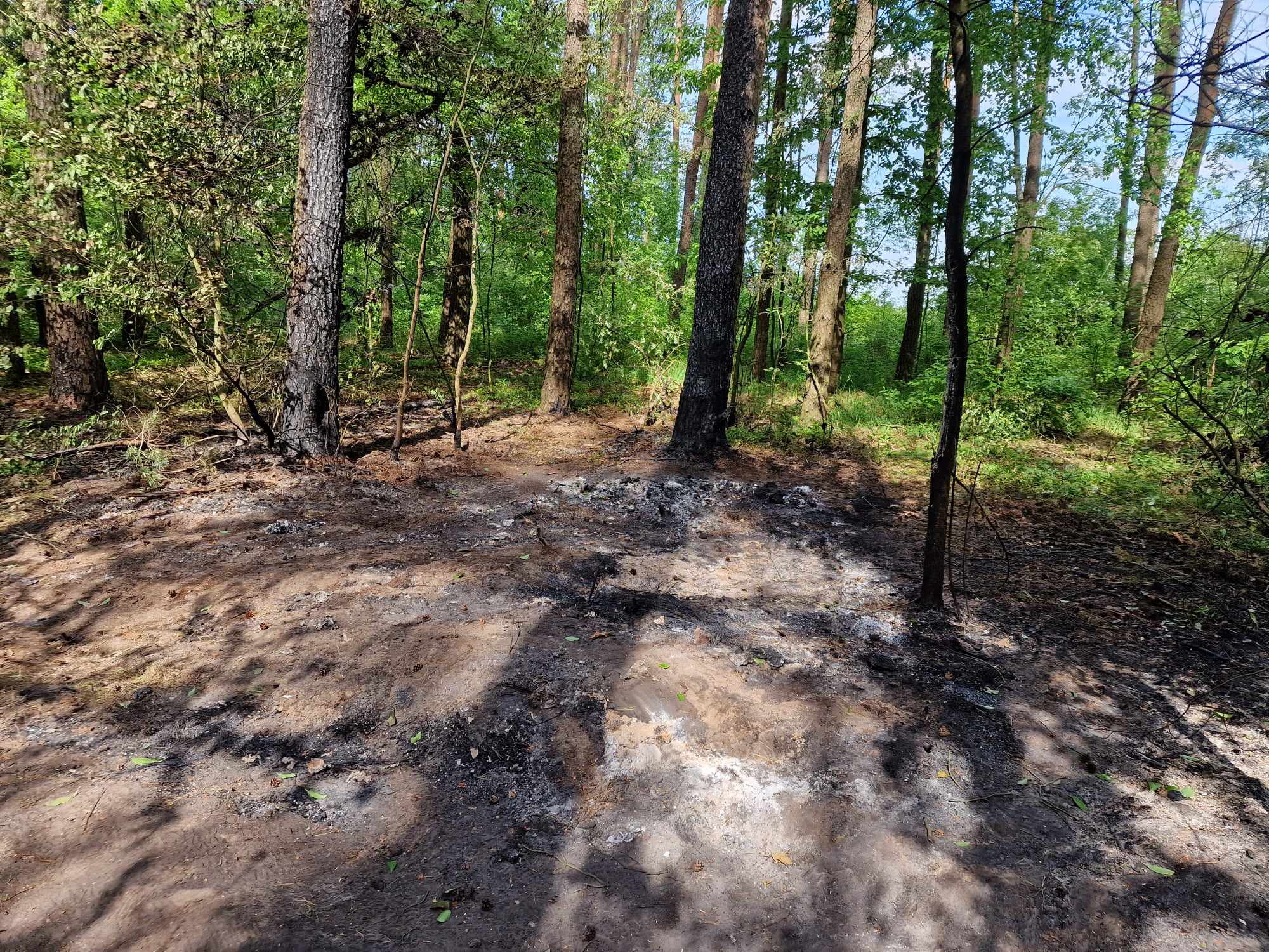 pożar auta w Posadowie - Grzegorz Ługawiak