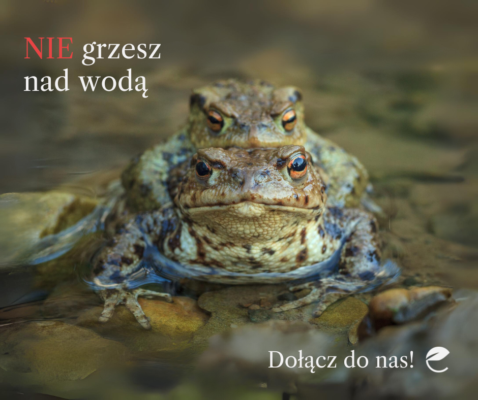 10 grzechów głównych nieświadomego turysty 2024 - Organizator