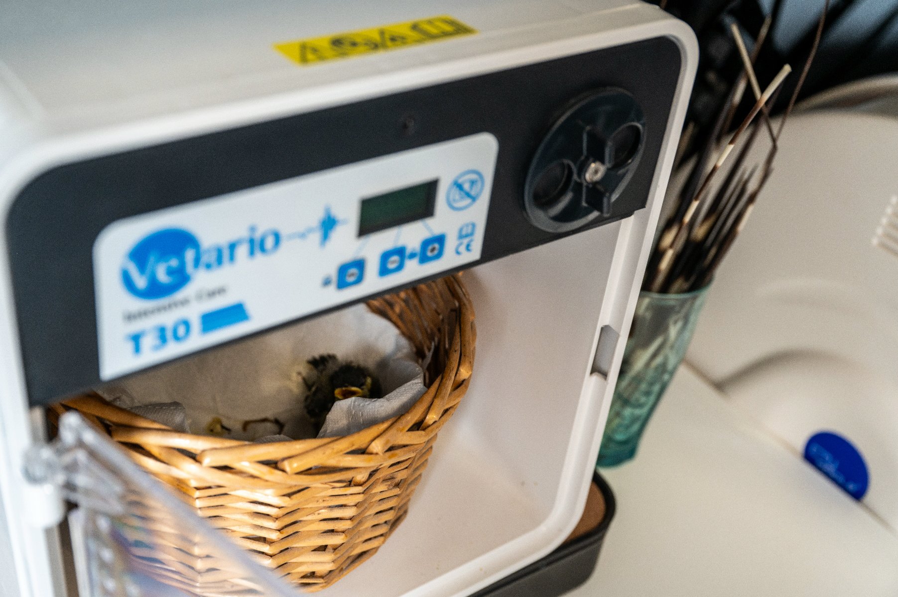 ekopatrol straż miejska urządzenie do ogrzewania - Miasto Poznań