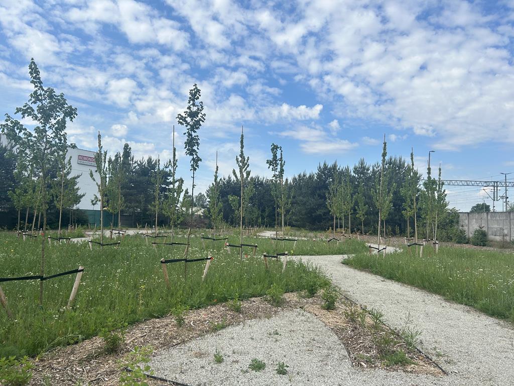 ogród dla bezdomnych caritas  - Szymon Majchrzak - Radio Poznań