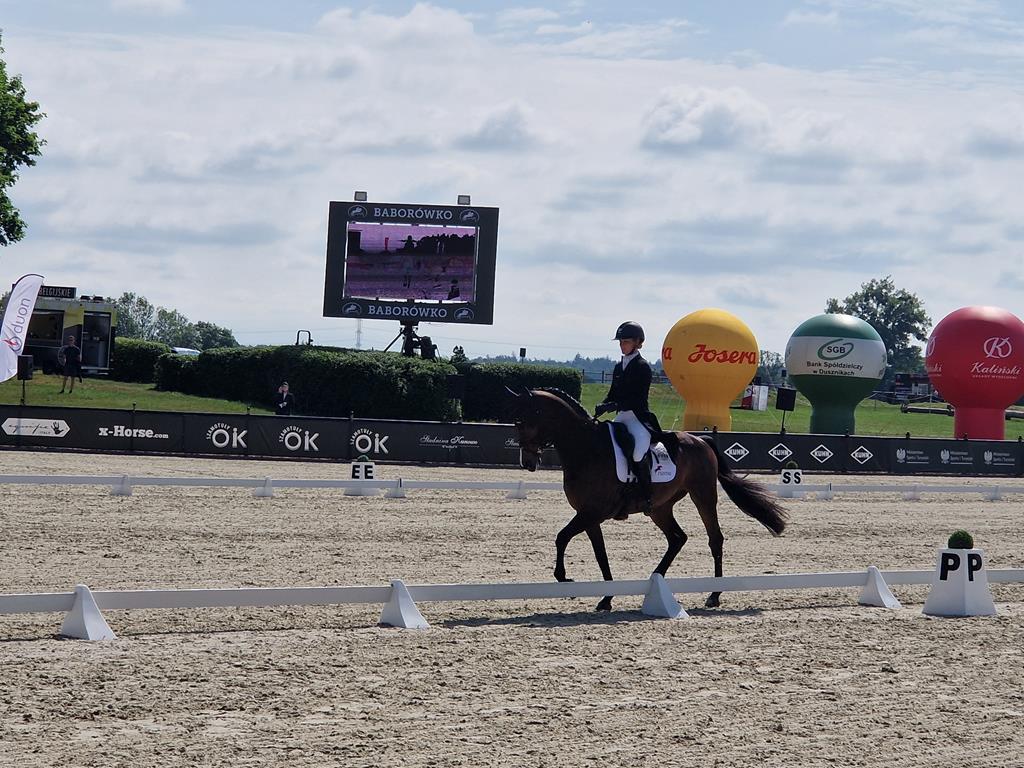 baborówko konie - Grzegorz Hałasik - Radio Poznań