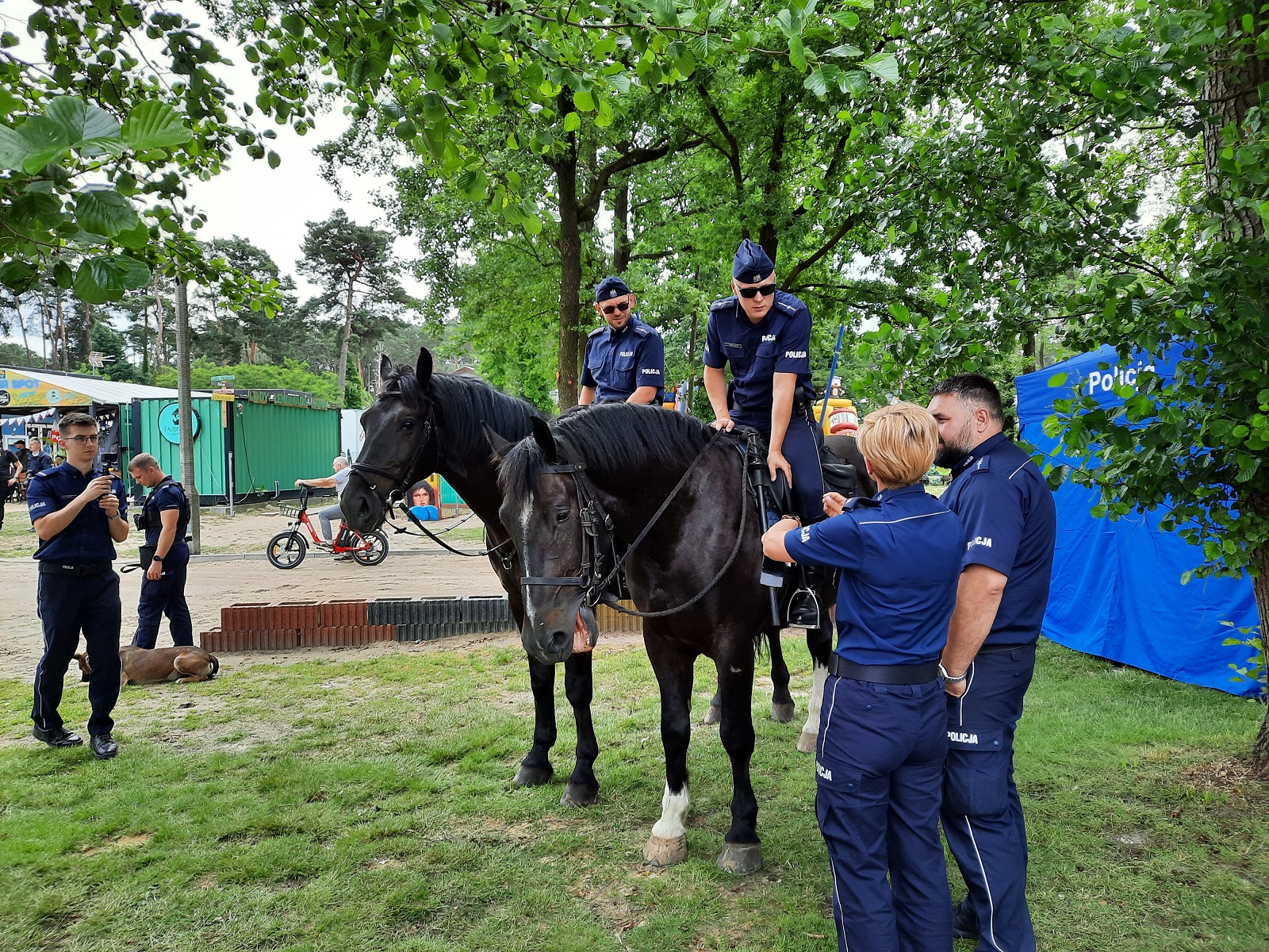 policja konie boszkowo - Jacek Marciniak