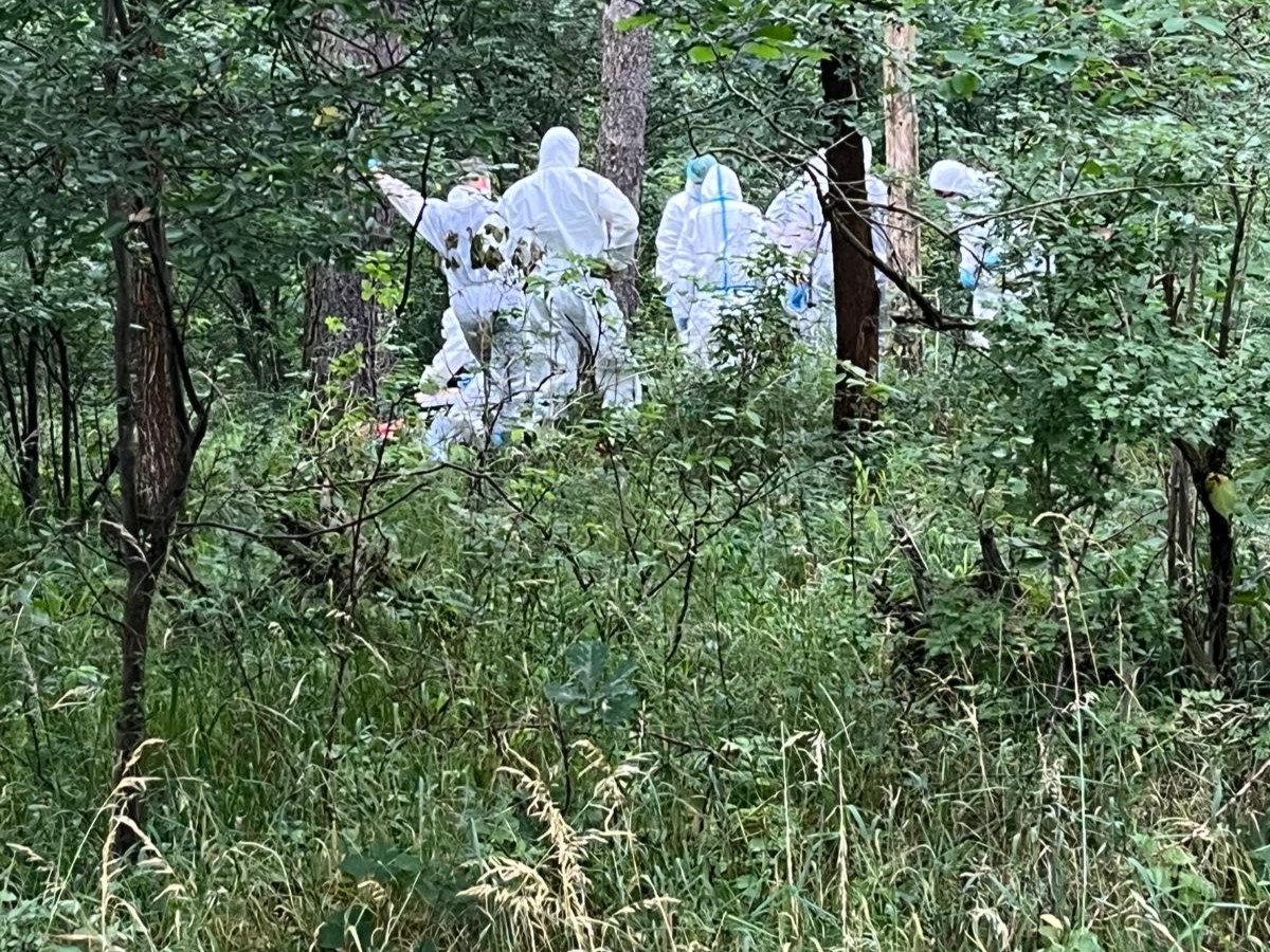 gortatowo zwłowki kobiety - Wielkopolska Policja