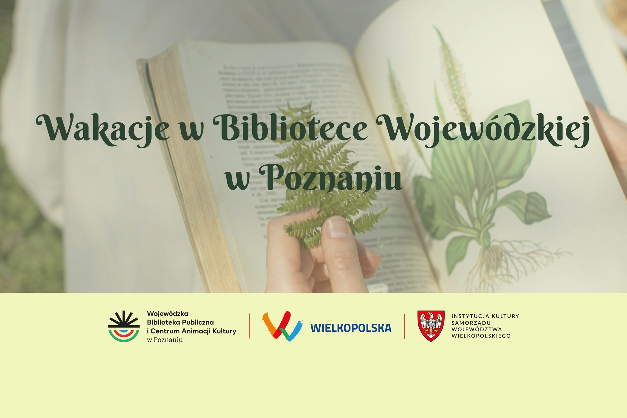 448319184_878658537635184_2350313219329651133_n